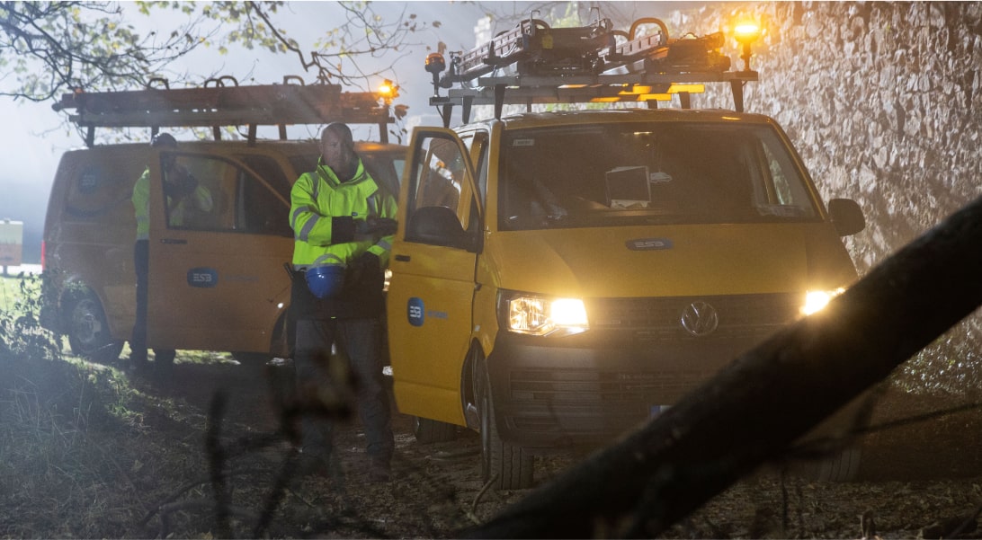 Technicians standing beside their vans facing a fallen tree