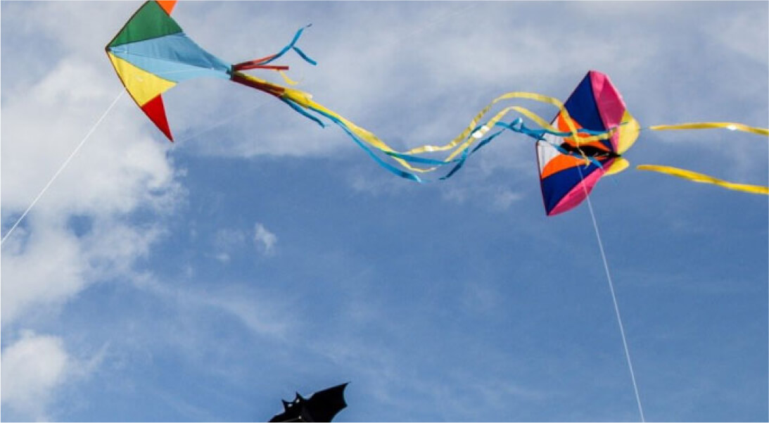 Kites in the sky